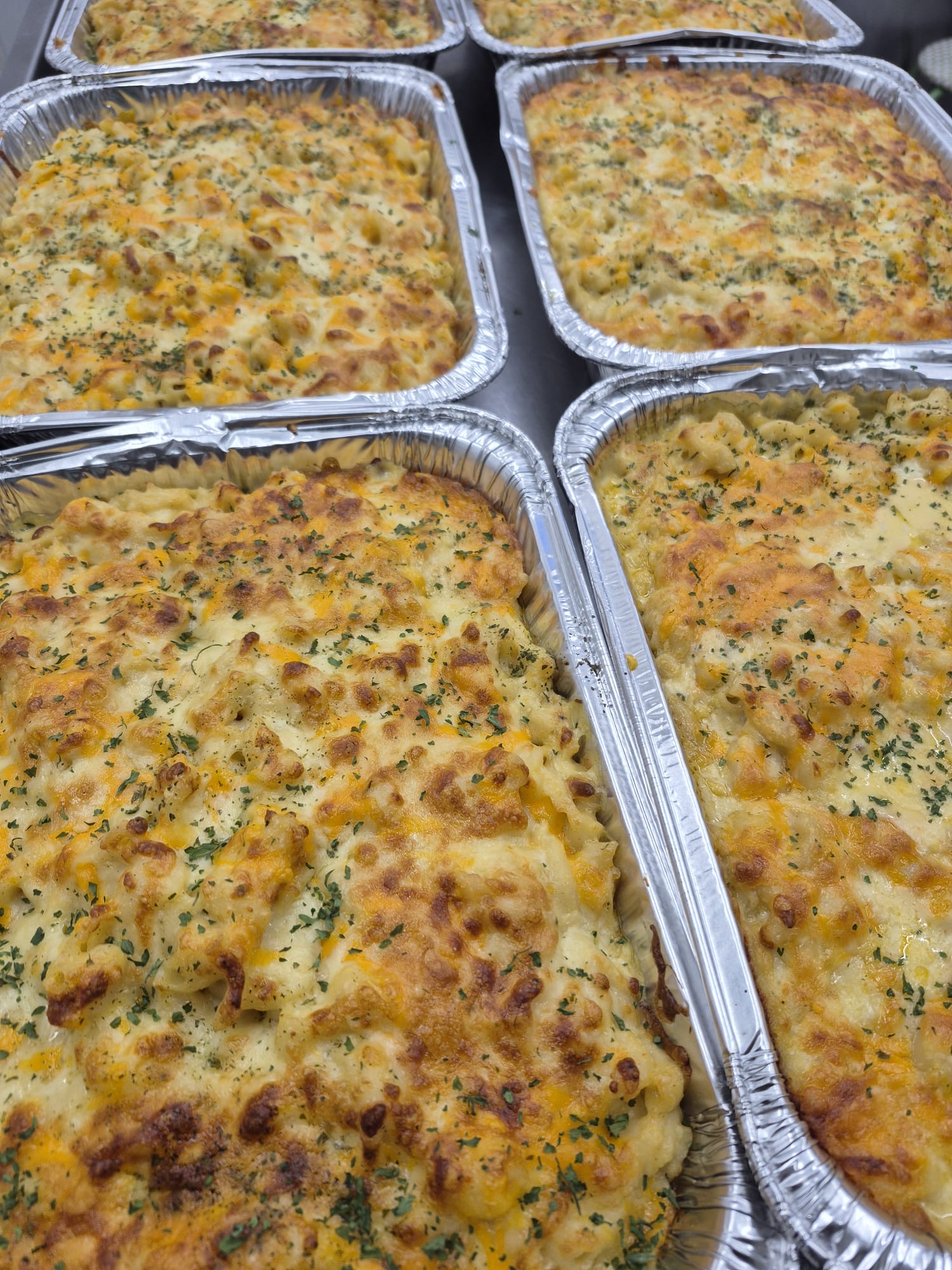 Freshly baked trays of creamy cheese pasta for catering